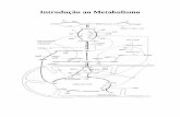 Introdução ao Metabolismo - Instituto de Química · METABOLISMO- Conceitos fundamentais e estudos dirigidos M1 INTRODUÇÃO AO METABOLISMO A - MAPA I: ... Conceitos Fundamentais