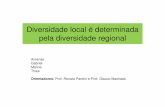 Diversidade local é determinada pela diversidade regionalecologia.ib.usp.br/curso/2011/ap_pdf/PA2-G5.pdf · Introdução • Durante muito tempo considerou-se que a diversidade das