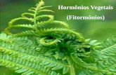 Hormônios Vegetais (Fitormônios) - escola.unitau.brescola.unitau.br/files/arquivos/category_1/Hormonios_vegetais... · Hormônios Vegetais Também chamados de fitormônios. Regulam