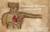 Sistema Nervoso Autônomo III - edisciplinas.usp.br · O hipotálamo age através do sistema nervoso autônomo para ajustes rápidos; e através do sistema neuro-endócrio para ajustes