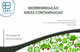 TECNOLOGIAS DE BIORREMEDIAÇÃO - abes-es.org.brabes-es.org.br/drupalBU/sites/default/files/arquivos/modulo_06... · Para que a aplicaçãodo bioaumento tenha sucesso, é necessário