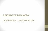 REVISÃO DE ZOOLOGIA REINO ANIMAL - colegiosantarosa …colegiosantarosa-pa.com.br/material_do_professor/bruno_uchoa/7ano... · •organismos eucariotos, multicelulares, heterotróficos