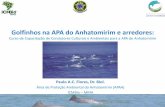 Golfinhos na APA do Anhatomirim e arredores - 2016cursoapadeanhatomirim2016.ufsc.br/files/2016/11/Apresentacao... · • Introduzir conhecimento geral sobre cetáceos e as três espécies