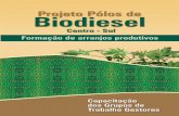 Ministro de Estado do - Plural · A produção de oleaginosas para o biodiesel pode ser feita em pequenas áreas ou de forma consorciada com outras cultu-ras, e mesmo aproveitando