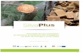 Promoção do uso sustentável - SilvaPlus · midor para as vantagens do uso de biomassa florestal, enquanto fonte de energia local e renovável, com benefícios ambientais e socioeconómicos