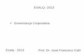 ESALQ- 2013 Governança Corporativa - jfcalil.com.brjfcalil.com.br/site/wp-content/uploads/2013/10/GC-Esalq2.pdf · ESALQ- 2013 Prof. Dr. José Francisco Calil Apresentações aula
