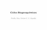 Ciclos Biogeoquímicos - medvet2016blog.files.wordpress.com · Ciclo do nitrogênio •N 2 gasoso •Bactérias fixadoras de nitrogênio –Organismos simbióticos fixadores de nitrogênio