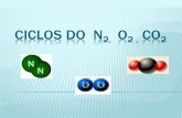 CICLOS DO N2, O2 , CO2 - blogcsptere.files.wordpress.com · CICLO DO NITROGÊNIO IMPORTÂNCIA: O Nitrogênio é fundamental para os seres vivos, pois entra na composição das proteínas(são