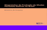 Diagnóstico da Produção de Mudas Florestais Nativas no Brasil · diagnóstico da produção de mudas no estado (Rio de Janeiro, 2010) e um banco de áreas a serem restauradas (Rio