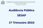 Audiência Pública SESAP 1º Trimestre 2010 · 663 folders disponibilizados. Prefeitura da Estância Balneária de Praia Grande Secretaria de Saúde Pública 1º Trimestre / Ano