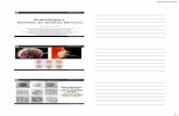 Embriologia do Sistema Nervoso - fonovim.com.br · 20/02/2018 1 Embriologia e Divisões do Sistema Nervoso M.Sc. Profª Viviane Marques Coordenadora da Pós-graduação em Fonoaudiologia