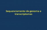 Sequenciamento de genoma e transcriptomasrdemarco/FFI0760/FFI0760/old/sequenciamento.pdf · enzimas de restrição ou via nebulização Clonagem de fragmentos com tamanho ... alta