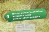 EDIÇÃO DE CONTEÚDO: Elvira Sampaio · não altere o conteúdo deste slide . Cromossomo (cromatina condensada ... segmentos de DNA (genes) estão formando ... Clonagem por transferência