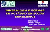 MINERALOGIA E FORMAS DE POTÁSSIO EM SOLOS …brasil.ipni.net/ipniweb/region/brasil.nsf... · Micas •Minerais primários abundantes em rochas e sedimentos •K não-disponível