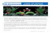 Introdução - ebook.rsdiscus.com.br · 12 Lista de compras do básico para se ter um aquário ;-) 13 Nosso site é 10, veja como escolher seu peixe por pH (que é o cor- ... terá