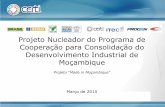 Projeto Nucleador do Programa de Cooperação para … · 2015-05-13 · Projeto de Dinamização / Pré Projeto das unidades ... (layout) gestão de fábrica •Definição macro