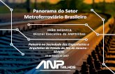 Panorama do Setor Metroferroviário Brasileiro - SEAERJ · Monotrilho Linha 15 ... SOLUÇÕES X DEMANDA URBANA 14. CAPACIDADE DE TRANSPORTE 15. Mobilidade urbana adequada e sustentável