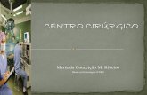 Maria da Conceição M. Ribeiro - Página Inicial · 2014-09-11 · realizadas no Centro Cirúrgico. ... Equipamentos Fixos Foco Central Negatoscopio Sistema de canalização de ar,