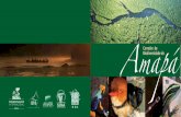 Corredor de Amapá - conservation.org · tam das florestas tropicais no mundo. É três vezes maior do que as florestas do Congo, na região central da África, e oito vezes ... alagada