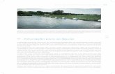 11 - Educação para as águas - Florida Sea Grant Extensionflseagrant.ifas.ufl.edu/CriseNasAguas/Chapter11.pdf · podem ocupar grandes porções da área alagada, ... A educação