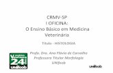 CRMV-SP I OFICINA: O Ensino Básico em Medicina Veterinária · i'novoportal/intranet/incižx.php# x Google Banco Santander (Brasil) Sites Sugeridos Favo rites ... (MEC) Projeto Pedagógico