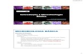 Introdução à Microbiologia Básica · 15/08/2014 4 DEFINIÇÃO Ramo da biologia que estuda os microganismos nos seus mais variados aspectos como morfologia, fisiologia, reprodução,