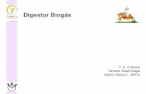 Digestor Biogás - filearchive.tamera.org · V., consiste num tanque cilíndrico de 3000 litros, ... Note-se que ao contrário de fazer queijo ou iogurte, fazer digestores de biogás
