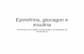 Epinefrina, glucagon e insulina - foa.unesp.br · Oferta de nutrientes e regulação do metabolismo Ingestão de nutrientes ↑ Insulina ↓ Glucagon ↑ Expressão de enzimas de