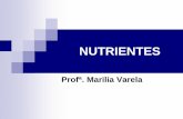 NUTRIENTES - ifcursos.com.br · transporte de nutrientes lubrificante, na saliva e articulaÇÕes . Água nos alimentos alimento % Água melancia 93 laranja 88 maÇÃ 85 ovo 74