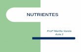 NUTRIENTES - ifcursos.com.br · nutrientes nutrientes sÃo substÂncias que estÃo inseridas nos alimentos e possuem funÇÕes variadas no organismo. podem ser encontrados em