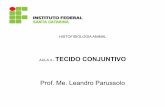 Prof. Me. Leandro Parussolo - docente.ifsc.edu.brdocente.ifsc.edu.br/leandro.parussolo/MaterialDidatico/Câmpus... · Introdução e Funções ... - transporte de gases, nutrientes