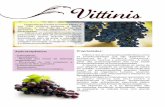Ação terapêutica: Propriedades - Laboratório NutraMedic · extrato de semente de uva. 5 Antioxidante: Neste estudo, o ensaio sobre o papel ... sempre recomendável a pesquisa