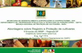 Abordagens sobre Registro e Proteção de cultivares · 2011-05-06 · 91 espécies (em 26/11/2008)91 espécies (em 26/11/2008) Agrícolas Algodão , Arroz , Aveia, Batata, Café,