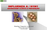 INFLUENZA A / H1N1 - Campinas-SP · Quando internar o paciente com pneumonia? Tratamento Medicamento disponível: Oseltamivir (Tamiflu) ... Slide sem título Created Date: 5/19/2009