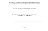 A Estratégia de Relacionamento com Clientes na Indústrialivros01.livrosgratis.com.br/cp099514.pdf · A Estratégia de Relacionamento com Clientes na ... a produção de arames para