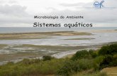 Microbiologia do Ambiente Sistemas aquáticos - FCULwebpages.fc.ul.pt/~maloucao/Aula 9.pdf · Ciclo da Água Evaporaçã o ... Classificação das águas Águas atmosféricas Águas