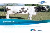 Vitamina E - DSM | Bright Science. Brighter Living.™ · Vitamina E Saúde para vacas leiteiras.. É o antioxidante número 1 da natureza: protege as células e os órgãos vitais;.
