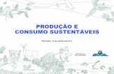 PRODUÇÃO E CONSUMO SUSTENTÁVEIS - …mediadrawer.gvces.com.br/ise/original/workshop-cise-19out2017... · indutor do ciclo nacional de crescimento e gerador de empregos consumo