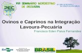 Ovinos e Caprinos na Integração Lavoura-Pecuáriafaec.org.br/novo/wp-content/uploads/2012/06/APRESENTAÇÃO-OVI-CAP... · MODELO PARA O NORDESTE DO BRASIL QUE INTEGRA AGRICULTUA