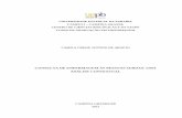 CONSULTA DE ENFERMAGEM ÀS PESSOAS SURDAS: UMA …dspace.bc.uepb.edu.br/jspui/bitstream/123456789/2236/1/PDF - Camila... · O Decreto nº 5.296, de 2004, regulamenta o atendimento