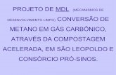 METANO EM GÁS CARBÔNICO, ATRAVÉS DA Compostagem.pdf · PDF fileprojeto de mdl (mecanismos de desenvolvimento limpo) conversÃo de metano em gÁs carbÔnico, atravÉs da compostagem