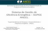 Sistema de Gestão de Eficiência Energética – SGPEE ANEEL ANEEL PEE 04-MAR-2009... · A – Envio até o dia 30, dos dados de movimentação financeira (item 1.3): 1 - Referentes