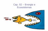 Cap. 02 – Energia e Ecossistemas · ... Energia e Ecossistemas. ... a quantidade de energia disponível nos níveis tróficos do peixe e ... A Produtividade e os Ecossistemas A
