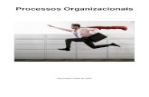 Processos Organizacionais - unifap.br · a) os processos de negócio (ou de cliente ou produtivo) são aqueles que caracterizam a atuação da organização e que são respaldados