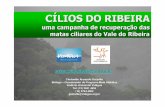 Clodoaldo Gazzetta VIDAGUA [Somente leitura]-sigam.ambiente.sp.gov.br/.../Eventos/20071_Cilios_Clodoaldo.pdf · Áreas de Preservaçäo Permanente da Bacia Hidrográfica do Rio Ribeira
