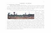 Capítulo I - Os Apinajeuft.edu.br/neai/file/tese_odair/4_Cap_1.pdf · 2014-05-09 · O território atual dos Apinaje fica entre os rios Araguaia e Tocantins, numa ... (como trator,