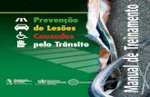 Prevenção de Lesões Causadas pelo Trânsito anual de Treinaentovias-seguras.com/content/download/5811/35516/file/Manual prevencao... · Formulação e implementação de políticas