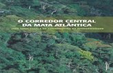 BRASÍLIA · 2015-03-04 · centrar investimentos e esforços na execução da segunda fase do Projeto, que se inicia neste ano de 2006. ... Central da Mata Atlântica ...