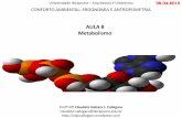 AULA 8 Metabolismo - claucallegaro.files.wordpress.com · •lipídios (gordura, mais calóricos que os glicídios, reserva de energia do ... favorece a remoção dos subprodutos