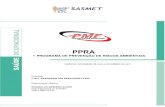 PPRA - sasmet.com.br · De acordo com o “Quadro I” da NR – 05, que vem tratar do dimensionamento da CIPA, feito de acordo ... revisão e ajustes, promovendo encaminhamento do